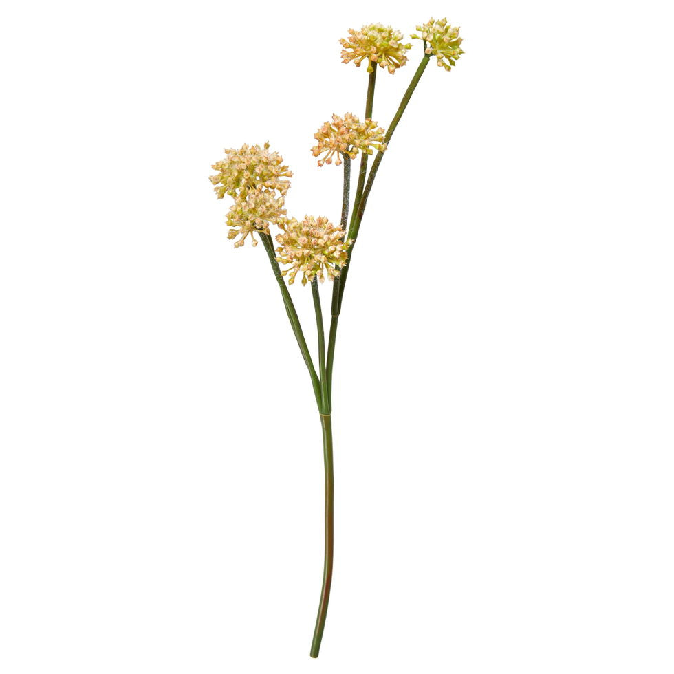 Tusindfryd Stilk 43cm.