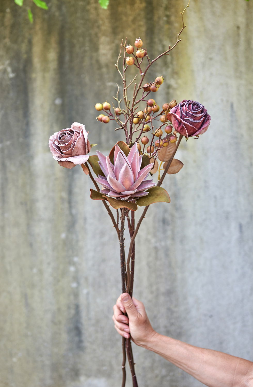 Protea stilk Dusty rose