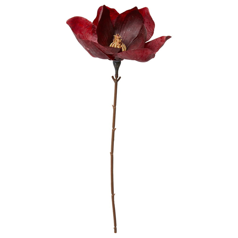 Magnolia stilk Deep red