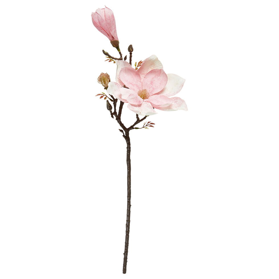 Magnolia stilk 58cm.